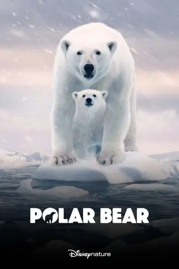Plakat do filmu "Polar Bear" #1072571