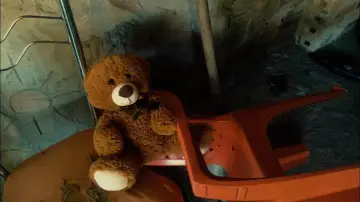 Zasłona do filmu "Teddy Bear" #975204