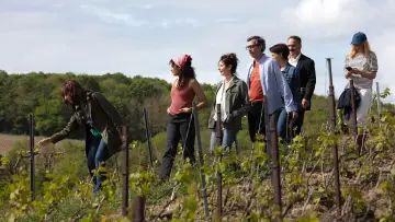 Zasłona do filmu "Szampana!" #395818