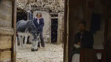 Zasłona do filmu "W proch się obrócisz" #384621