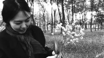 Zasłona do filmu "소설가의 영화" #459078