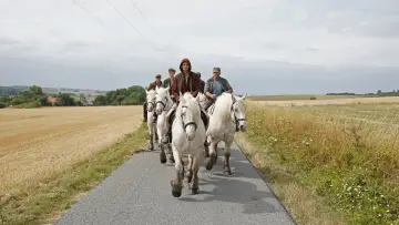 Zasłona do filmu "Imperium" #192850