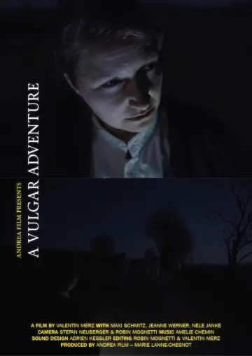 Ein Vulgäres Abenteuer plakat