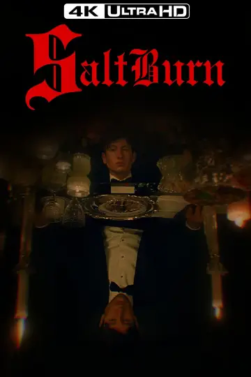 Plakat do filmu "Saltburn" #170787