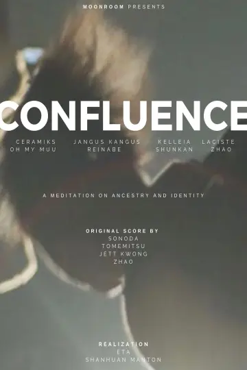 Confluence: A Meditation in Documentary Form plakat