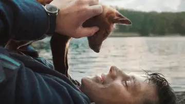 Zasłona do filmu "Der Fuchs" #194691