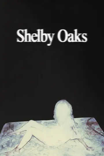 Plakat do filmu "Miasteczko Shelby Oaks" #522831