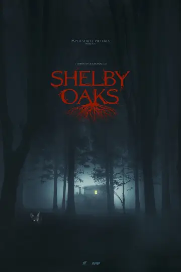 Plakat do filmu "Miasteczko Shelby Oaks" #522967
