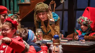 Zasłona do filmu "Elf i ja" #331347