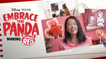 Zasłona do filmu "Pokochaj pandę (w sobie): Jak powstawał film „To nie wypanda"" #1822024