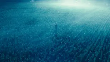 Zasłona do filmu "Królestwo zwierząt" #194716
