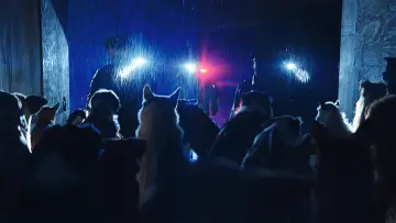 Zasłona do filmu "Dogman" #193426