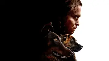 Zasłona do filmu "Dogman" #314955