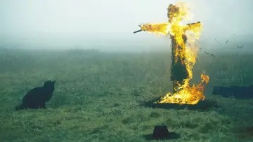 Zasłona do filmu "破碎太阳之心" #443746