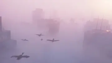 Zasłona do filmu "Wyfrunięci" #1856448