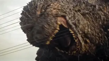 Zasłona do filmu "Godzilla Minus One" #746937
