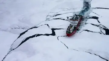 Zasłona do filmu "Endurance: wyprawa na Antarktydę" #667855