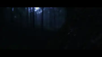 Zasłona do filmu "Birth" #1146691