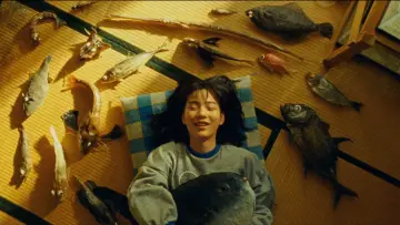 Zasłona do filmu "さかなのこ" #474662