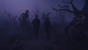 Zasłona do filmu "Wąwóz" #549808