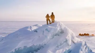 Zasłona do filmu "Bear Witness" #725169