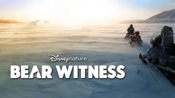 Zasłona do filmu "Bear Witness" #725172