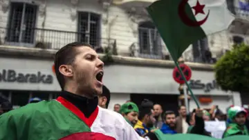 Zasłona do filmu "Toute l