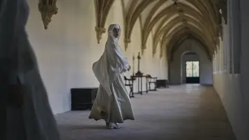 Zasłona do filmu "Siostra Śmierć" #322691