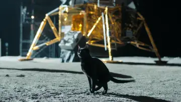 Zasłona do filmu "Zabierz mnie na Księżyc" #581082