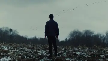 Zasłona do filmu "Wilki" #337881