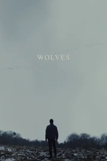 Plakat do filmu "Wilki" #337886