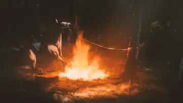 Zasłona do filmu "Garrano" #191432