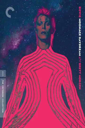 Plakat do filmu "Moonage Daydream" #354198