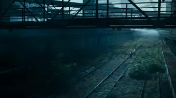 Zasłona do filmu "Kruk" #762030