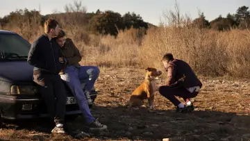 Zasłona do filmu "Amstaff" #355128