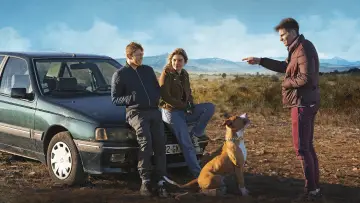 Zasłona do filmu "Amstaff" #355129