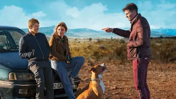 Zasłona do filmu "Amstaff" #355130