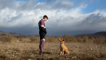 Zasłona do filmu "Amstaff" #355132