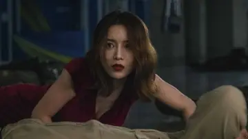 Zasłona do filmu "军火大劫案" #318066