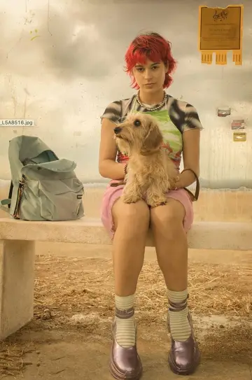 Plakat do filmu "Rainbow" #499082