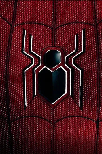 Plakat do filmu "Spider-Man: Droga do Bez drogi do domu" #455194