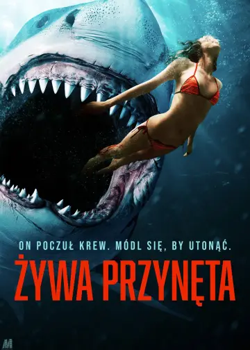 Plakat do filmu "Żywa przynęta" #1004004