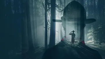Zasłona do filmu "Nie zostaw śladu" #1727249