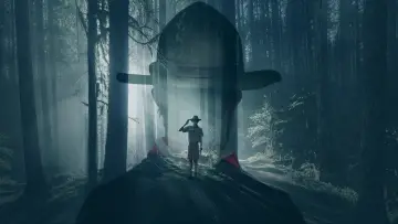 Zasłona do filmu "Nie zostaw śladu" #1727251
