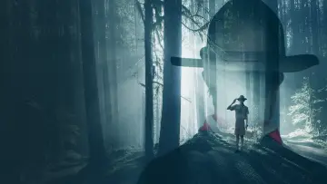 Zasłona do filmu "Nie zostaw śladu" #1727255