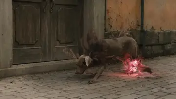 Zasłona do filmu "Fullmetal Alchemist: The Revenge of Scar" #951157