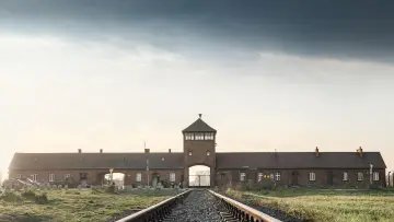 Zasłona do filmu "Auschwitz, la machine de mort nazie" #1147904