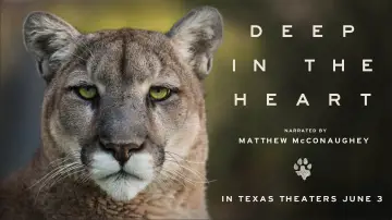 Zasłona do filmu "Deep in the Heart: A Texas Wildlife Story" #1040951