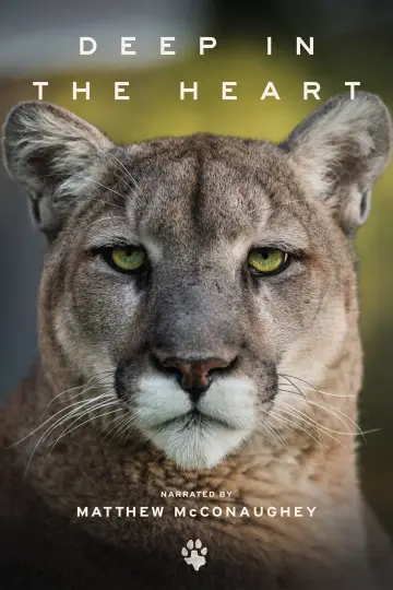 Plakat do filmu "Deep in the Heart: A Texas Wildlife Story" #1040955