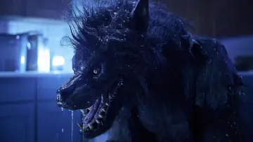 Zasłona do filmu "Wilkołaki" #614135